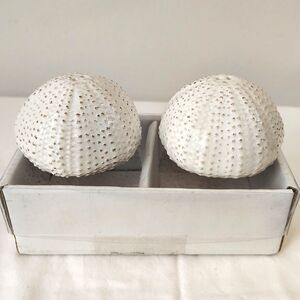 NEW White Sea Urchin Salt & Pepper Shakers Coastal Nautical Theme Kitchen